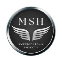 Capacitación MSH Seguridad